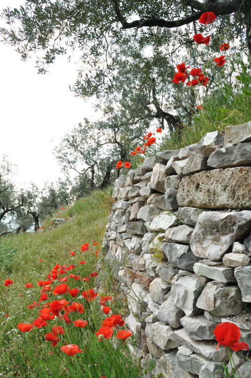 Agriturismo "Antico Frantoio" Foligno Eksteriør billede